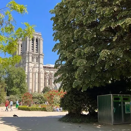 Serenity, Meditation At Notre Dame Parigi